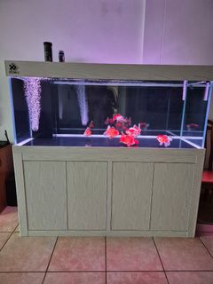 (Category: ) located in . Submitted by vincentlock67 (Listing ID 1392339037, Image 1). Description: .