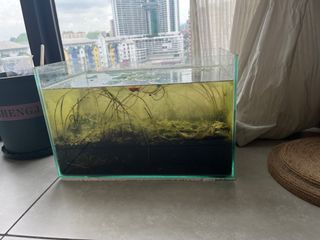 (Category: ) located in . Submitted by annazengl (Listing ID 1392334262, Image 1). Description: .
