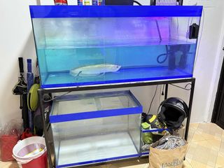 (Category: ) located in . Submitted by spincart (Listing ID 1392684132, Image 1). Description: .