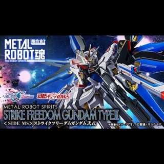 希少メタルクリア特別版HG W-GUNDAM ZERO & D-HELL セット 希少メタルクリア特別版HG W-GUNDAM ZERO & D-HELL セット