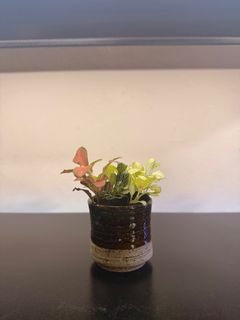 (Category: ) located in . Submitted by .encollective (Listing ID 1392623960, Image 1). Description: .