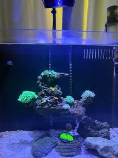 (Category: ) located in . Submitted by zhangxw2447 (Listing ID 1392568426, Image 1). Description: .