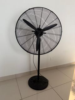 (Category: ) located in . Submitted by faygee (Listing ID 1392695323, Image 1). Description: .