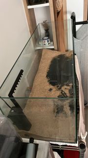 (Category: ) located in . Submitted by hocuspothos (Listing ID 1392791336, Image 1). Description: .