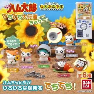 （分類：）位於 。 由 peanutbutter___ 提交（商品編號 1392805648，圖片 1）。簡介： 。