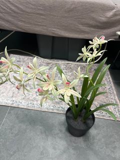 （分類：）位於 。 由 watashi170 提交（商品編號 1392763684，圖片 1）。簡介： 。