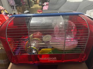(Category: ) located in . Submitted by zhwoo (Listing ID 1392849764, Image 1). Description: .
