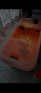 (Category: ) located in . Submitted by andyyeoyk (Listing ID 1392723312, Image 1). Description: .