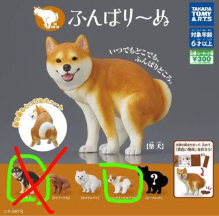 （分類：）位於 。 由 bellabc 提交（商品編號 1380834087，圖片 1）。簡介： 。