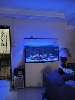 (Category: ) located in . Submitted by daniellev13 (Listing ID 1392935275, Image 1). Description: .
