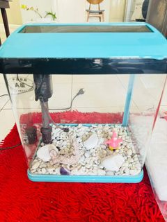 (Category: ) located in . Submitted by katherinele (Listing ID 1392879338, Image 1). Description: .