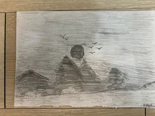 （分類：）位於 。 由 cleverfish.5e678a 提交（商品編號 1393027635，圖片 1）。簡介： 。