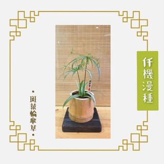 （分類：）位於 。 由 sincerethoughts 提交（商品編號 1393053802，圖片 1）。簡介： 。