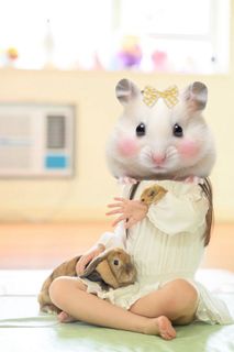 （分類：）位於 。 由 wendy803333 提交（商品編號 1392898381，圖片 1）。簡介： 。