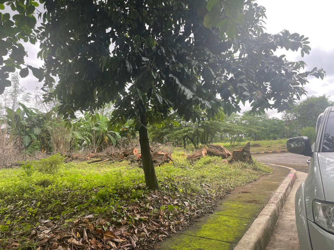 (Category: ) located in . Submitted by genjimenez (Listing ID 1393011848, Image 1). Description: .