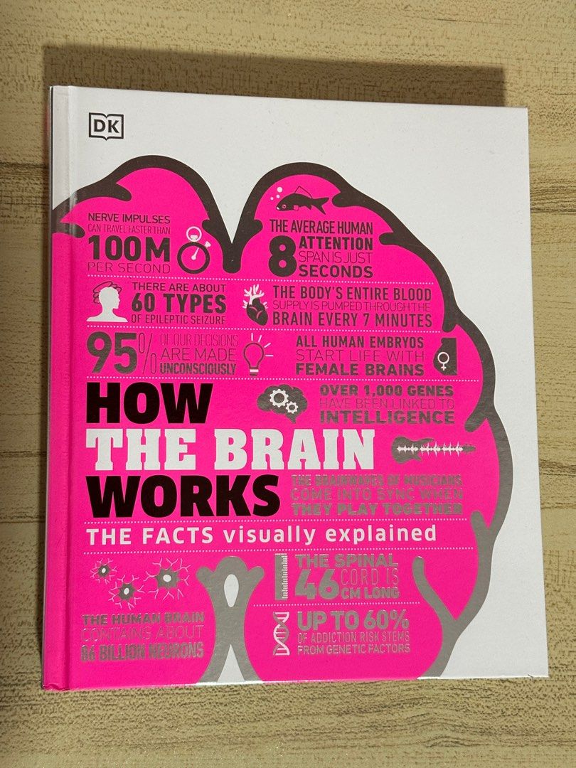 How the Brain Works: The Facts Visually Explained, Hobbies & Toys ...