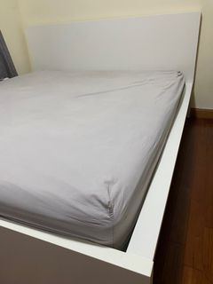 （分類：）位於 。 由 cubiclo 提交（商品編號 1393213320，圖片 1）。簡介： 。