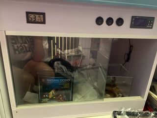（分類：）位於 。 由 ezioi 提交（商品編號 1393181232，圖片 1）。簡介： 。