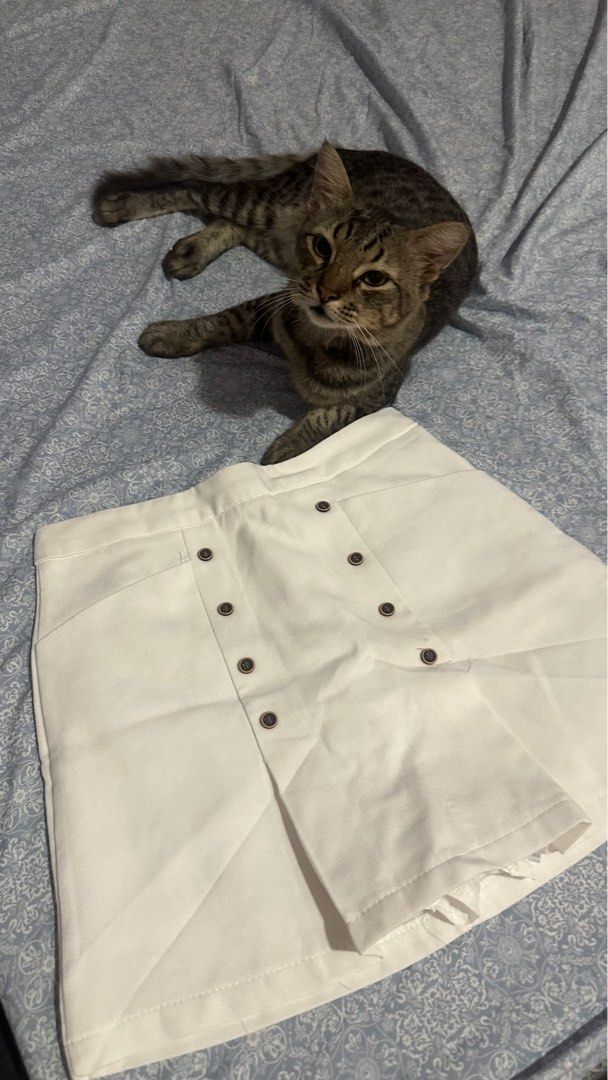 White Pencil Skirt with buttons (Category: Skirts) located in Paranaque City. Submitted by mkaaay (Listing ID 1393211791, Image 2). Description: .