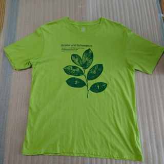 新品未開封◆グラニフ Graniph 男女合穿【SALE★原價 ¥2750円】青綠色短袖 TEE ◢Design Tshirts Store graniph◤(男裝．女裝)64209178074114110