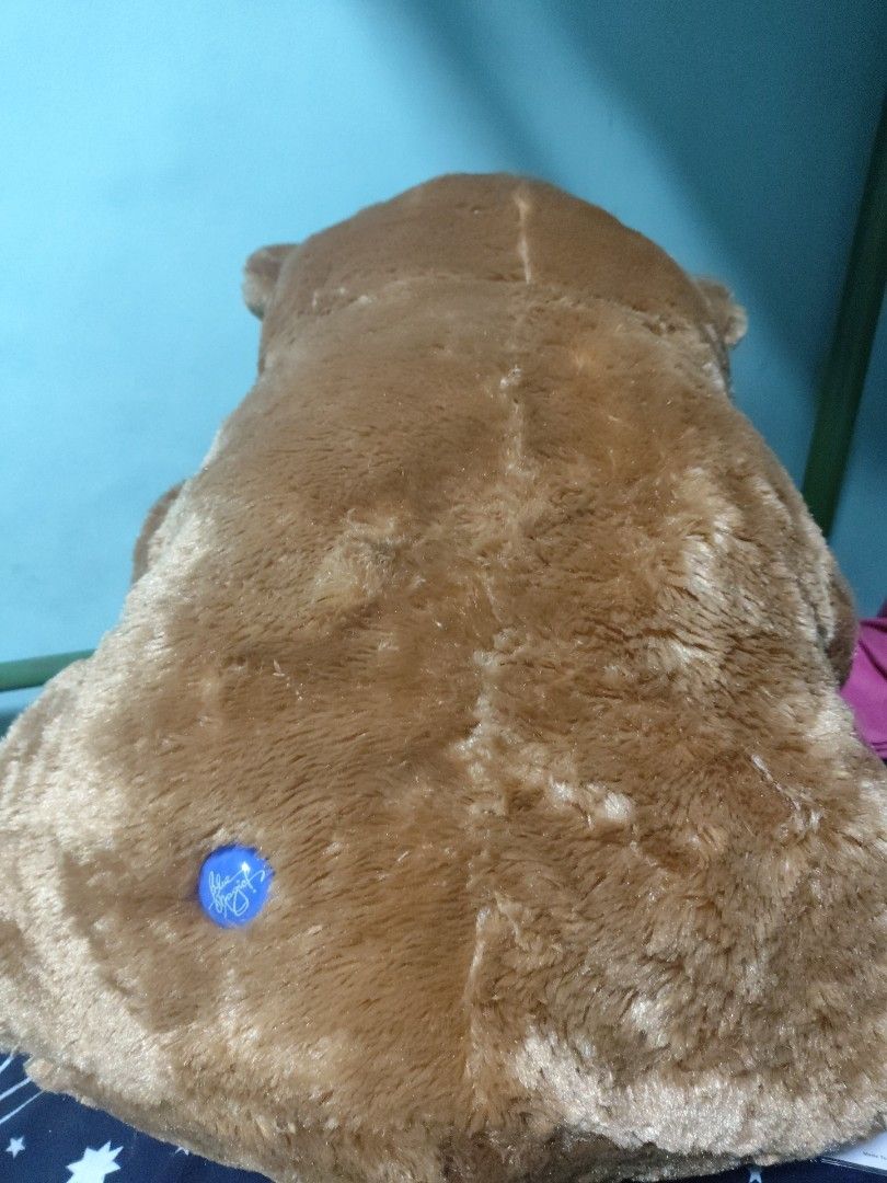 Bear plushie LARGE (BlueMagic) with FREEBIE (Category: Plushies & Soft Toys) located in Dasmarinas. Submitted by mm_ra (Listing ID 1393398846, Image 3). Description: Like New!! RFS: Stocked up and unused. A soft plush bear from blue magic, a wonderful gift for all ages to express your love! freebie from bluemagic included!!.