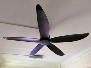 (Category: ) located in . Submitted by aznl (Listing ID 1393386347, Image 1). Description: .