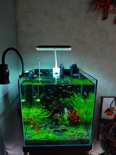(Category: ) located in . Submitted by brilliant.library (Listing ID 1393305071, Image 1). Description: .