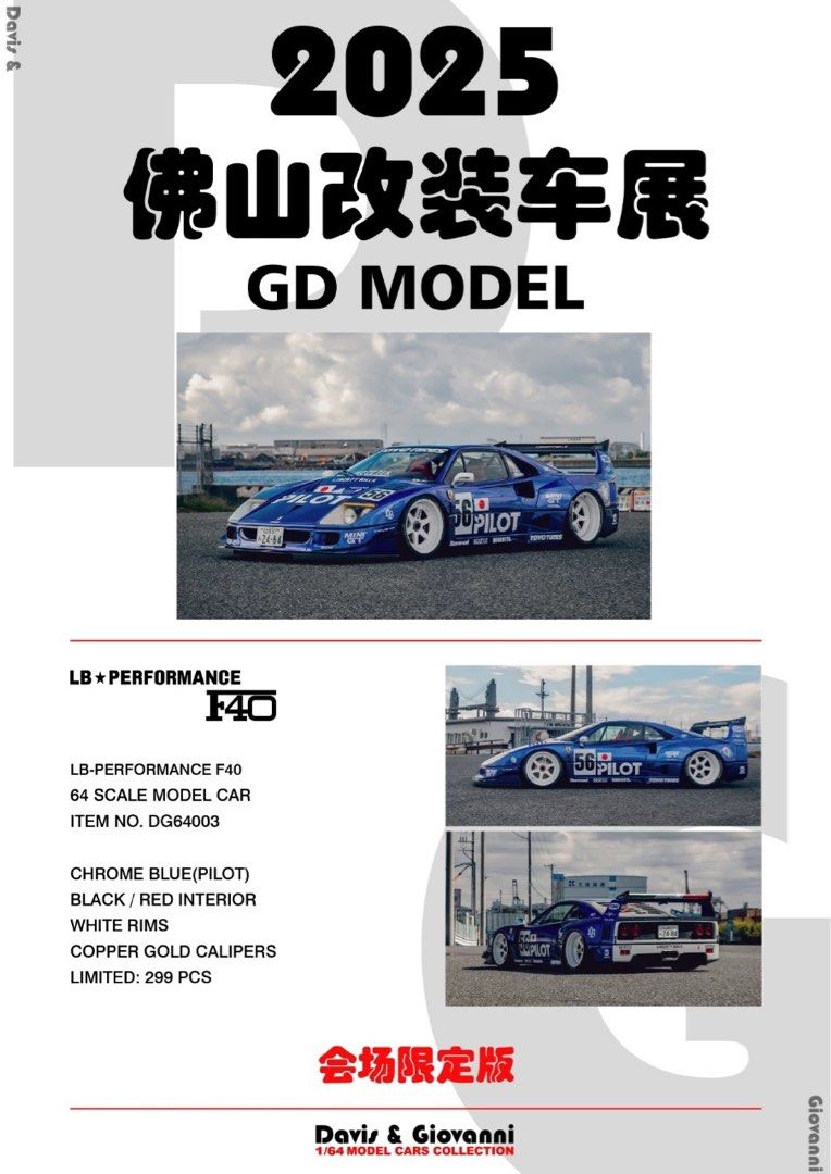 Davis & Giovanni DG 1/64 Resin F40 R35GTRR, Hobbies & Toys, Toys