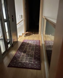 (Category: ) located in . Submitted by jamie1610 (Listing ID 1393250480, Image 1). Description: .