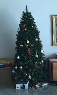 (Category: ) located in . Submitted by kimberlyclk (Listing ID 1393559699, Image 1). Description: .
