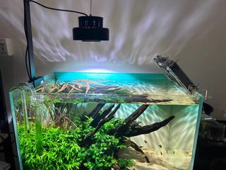 (Category: ) located in . Submitted by brilliant.library (Listing ID 1393467004, Image 1). Description: .