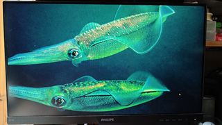 PHILIPS 223V7QHAB/69 超窄邊22吋 75Hz FHD LCD屏內置喇叭64229519326851110