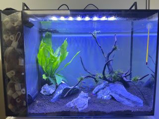 (Category: ) located in . Submitted by chong0278 (Listing ID 1390310412, Image 1). Description: .