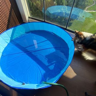 (Category: ) located in . Submitted by supercheap (Listing ID 1390410717, Image 1). Description: .