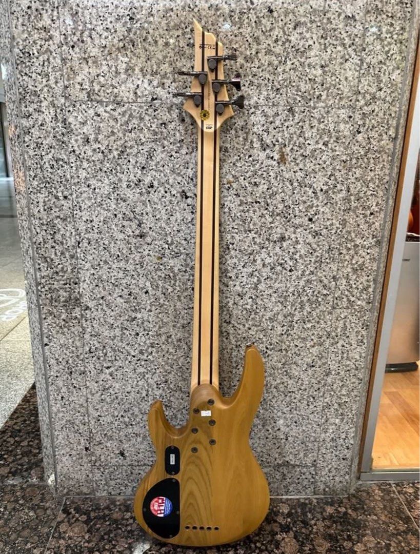 ESP LTD 5-String Bass Guitar, Hobbies & Toys, Musical Instruments on ...