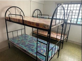 (Category: ) located in . Submitted by ajusru (Listing ID 1390412371, Image 1). Description: .