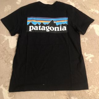 Patagonia 內銷 男裝 M-L 碼 全精梳棉 T恤 特價 $99 包郵64235658563843110