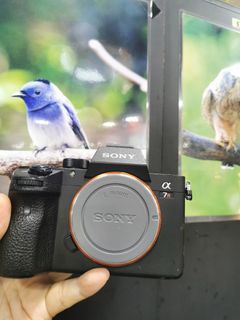 （分類：）位於 。 由 shamwo_114 提交（商品編號 1390315027，圖片 1）。簡介： 。