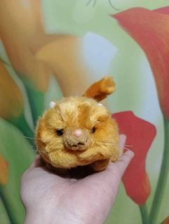 (Category: ) located in . Submitted by handpicked_stuffed_toys19 (Listing ID 1390316485, Image 1). Description: .