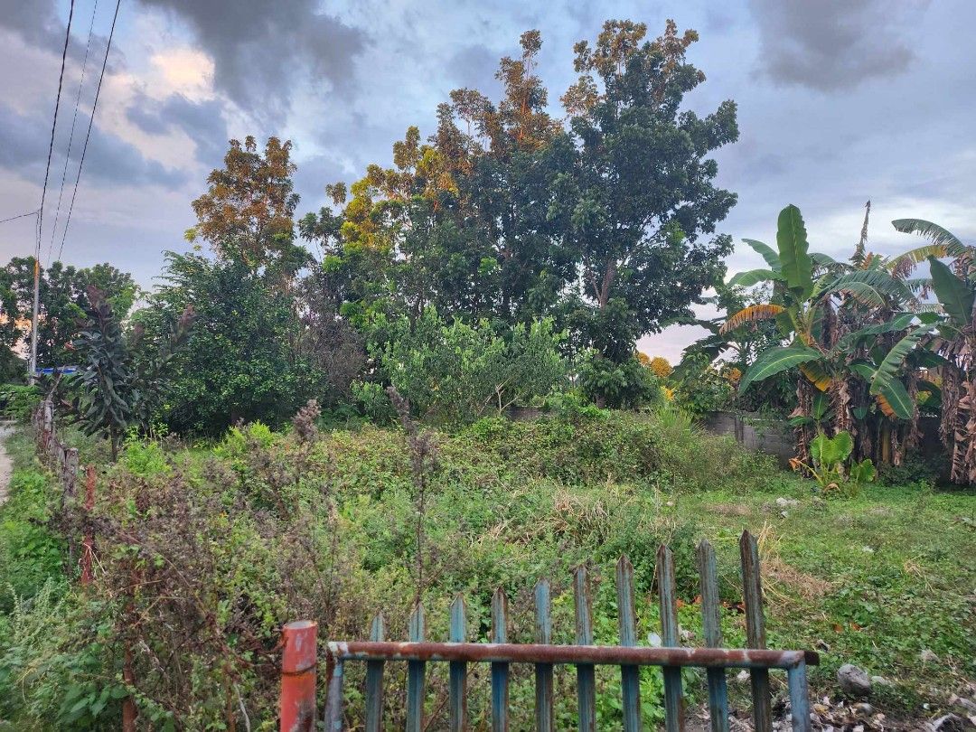 Vacant Lot for Rent (Category: Lot) located in Imus. Submitted by yesliv (Listing ID 1390228556, Image 2). Description: Lot for Rent Location: Alcala, Pangasinan est 400sq m.