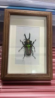 （分類：）位於 。 由 pasu123454 提交（商品編號 1393783419，圖片 1）。簡介： 。