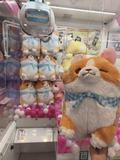 （分類：）位於 。 由 sab105 提交（商品編號 1393807902，圖片 1）。簡介： 。
