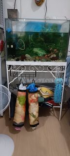 (Category: ) located in . Submitted by zolme (Listing ID 1393640716, Image 1). Description: .