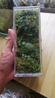(Category: ) located in . Submitted by terra.fic (Listing ID 1393682022, Image 1). Description: .