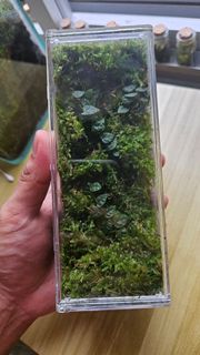 (Category: ) located in . Submitted by terra.fic (Listing ID 1393686690, Image 1). Description: .