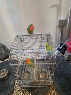 (Category: ) located in . Submitted by robin8899 (Listing ID 1393621103, Image 1). Description: .