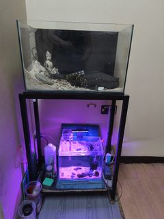 (Category: ) located in . Submitted by pisces87 (Listing ID 1393861965, Image 1). Description: .