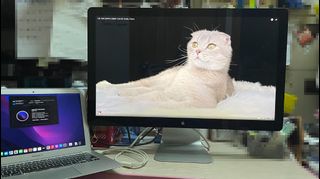 （分類：）位於 。 由 dogandroad36272 提交（商品編號 1393963189，圖片 1）。簡介： 。