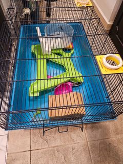 (Category: ) located in . Submitted by ilovemayday (Listing ID 1393872546, Image 1). Description: .