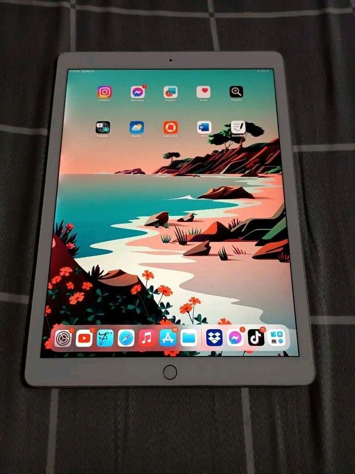 Ipad Pro 12.9 inch (2nd gen) ios 17.6 (Category: iPad) located in San Pedro. Submitted by lovbluuberriezzz (Listing ID 1393851663, Image 1). Description: .